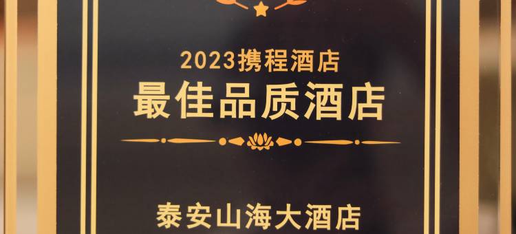泰安山海大酒店(天外村店)图片