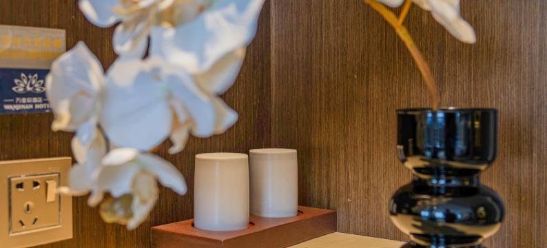 昆明长水国际机场万金安酒店图片