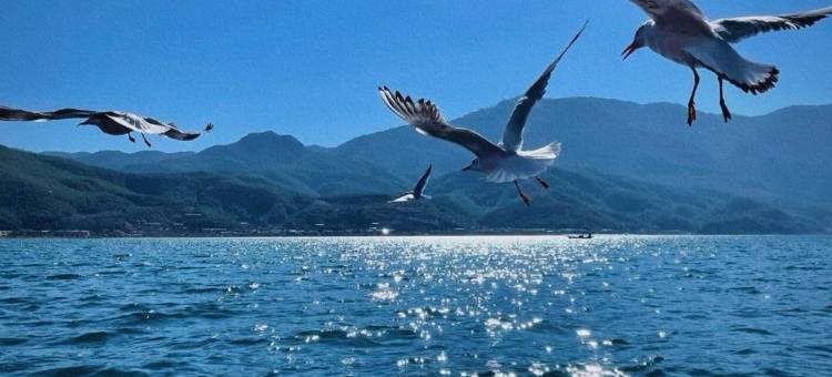 汀渺｜全视野格姆女神湖景度假酒店(泸沽湖蒗放码头店)图片