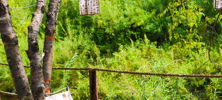 花筑·逸云民宿(长白山北坡集散中心二道白河店)图片