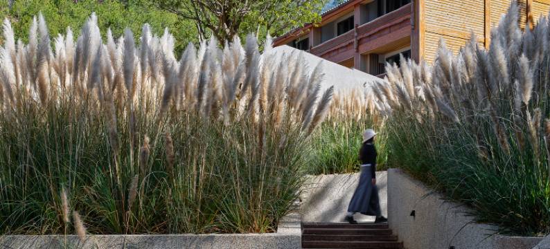 泸沽湖叙旧•山海事酒店图片