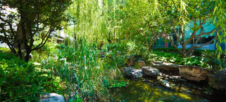 龙昆雅苑酒店(北京国贸四惠东地铁站店)图片