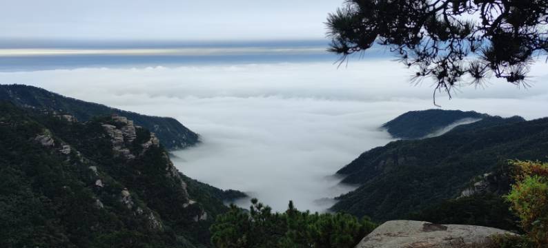 庐山这有山民宿(牯岭街索道上站台店)图片