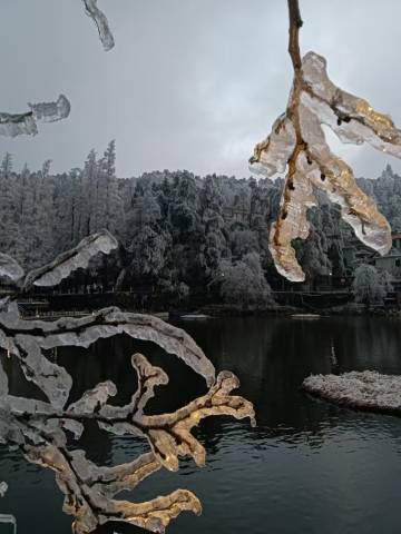 庐山陌上花民宿(牯岭街索道上站台店)图片