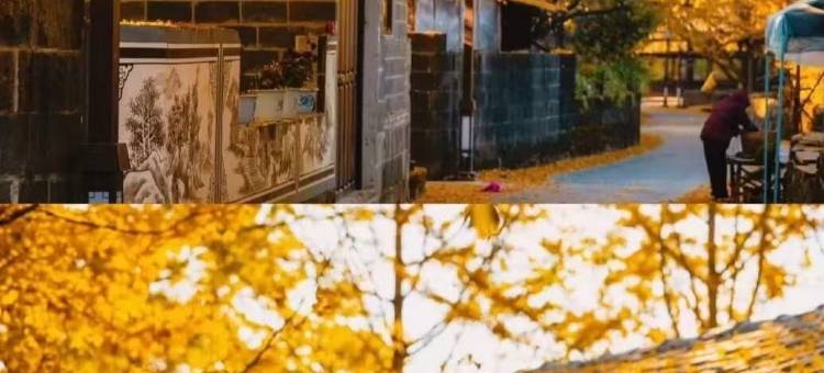 静澜枫居｜既山野·花园汤池度假庭院(毕节七星关区德溪公园店)图片