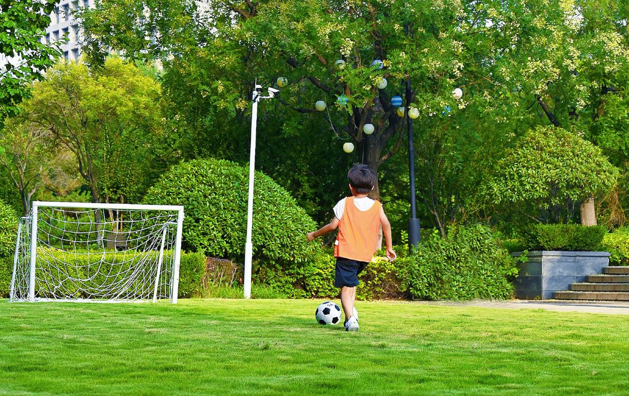 青岛胶州绿城喜来登酒店图片