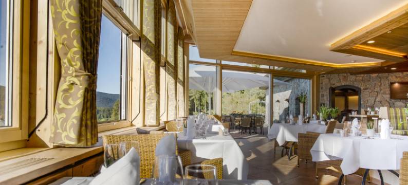 施卢赫湖四季酒店(Hotel Vier Jahreszeiten am Schluchsee)图片