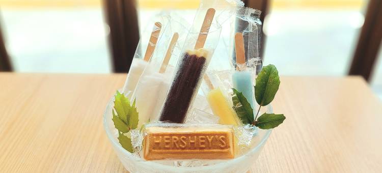 和歌山天然温泉多米高级酒店(Dormy Inn Premium Wakayama Natural Hot Spring)图片