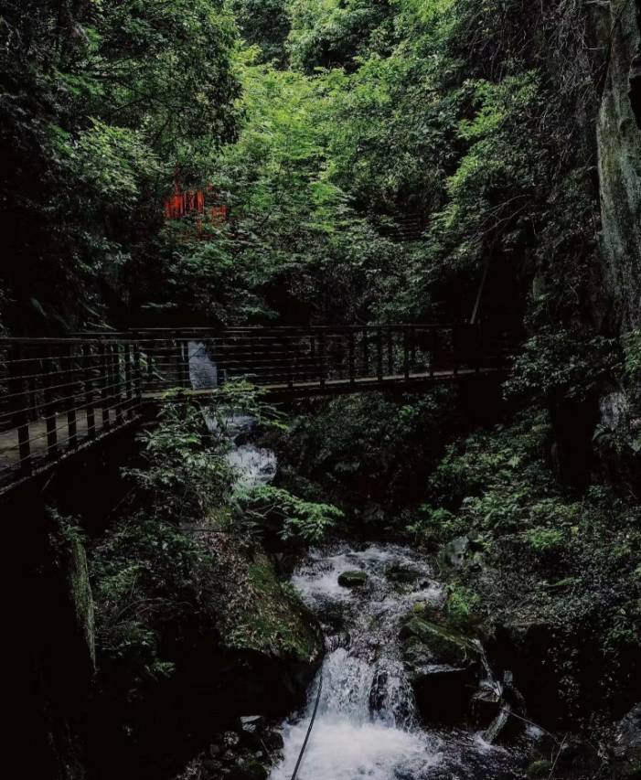 大乐之野(莫干山碧坞店)图片