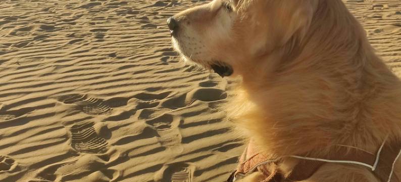 沙漠空间站露营地中心图片