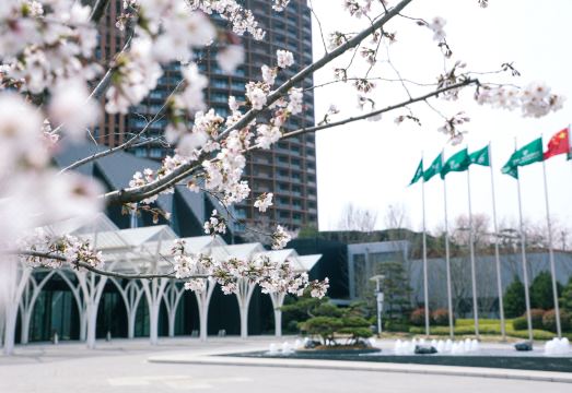 Mangrove Tree Resort World (Coral Tower) Hotel Overview