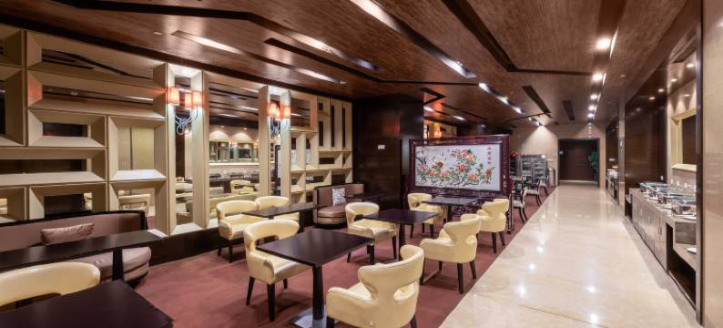中天嘉悦大酒店(常州恐龙园新北万达店)图片