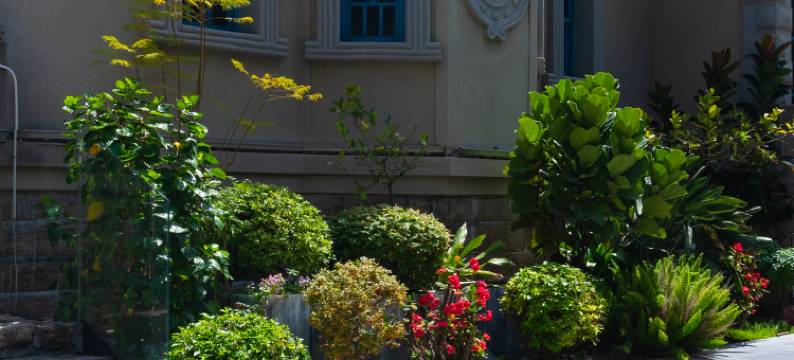 鼓浪屿悠然别苑度假酒店(美华沙滩内厝澳码头店)图片