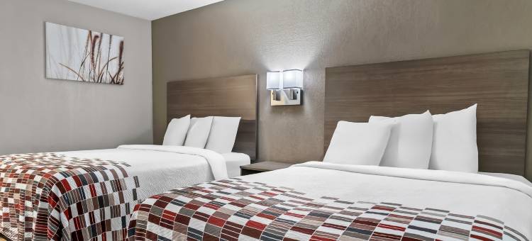 红屋顶酒店-弗林特(Red Roof Inn Flint)图片