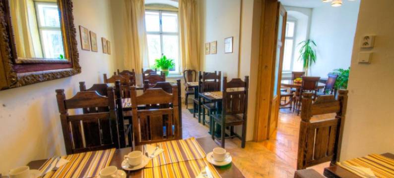 瓦茨拉夫广场酒店(Wenceslas Square Hotel - Czech Leading Hotels)图片