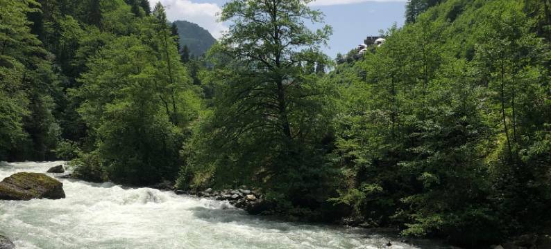 卡莱穹顶奥曼别墅(Kaledome Orman Evleri)图片