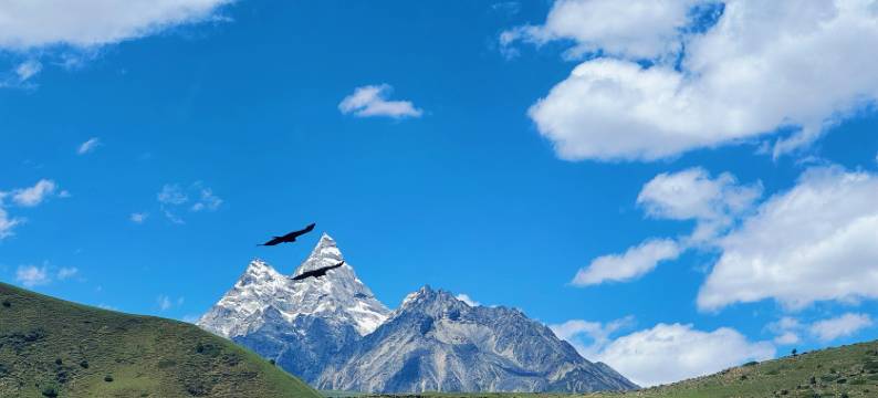 格聂向阳山房图片