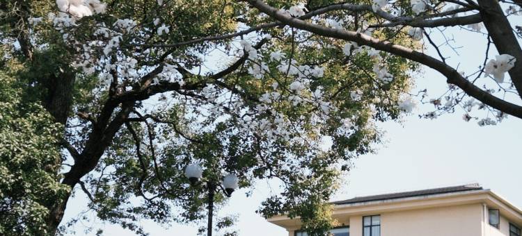 淮南煤矿宾馆图片