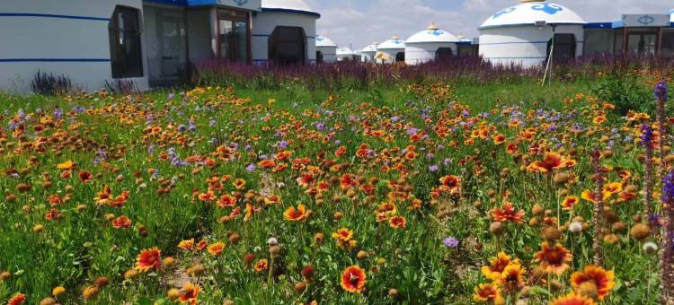 伊金霍洛旗布拉格草原蒙古包图片