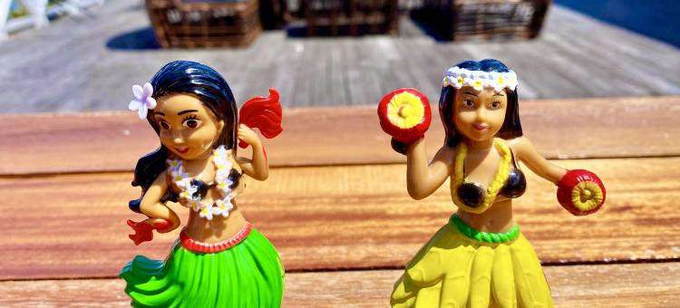 阿罗哈马布岛度假水屋Aloha MABUL Scuba Lodge(Aloha MABUL Scuba Lodge)图片