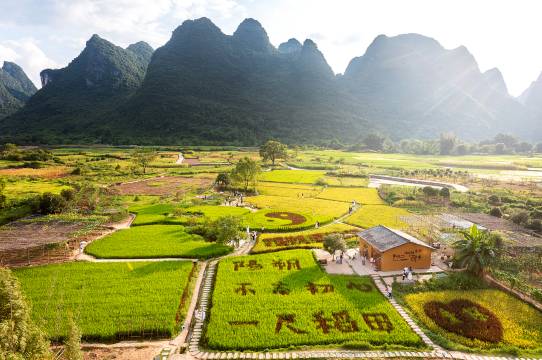 田园诗集民宿(阳朔遇龙河景区夏棠寨店)图片