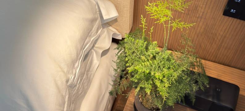 云屿山白民宿(五爷庙店)图片