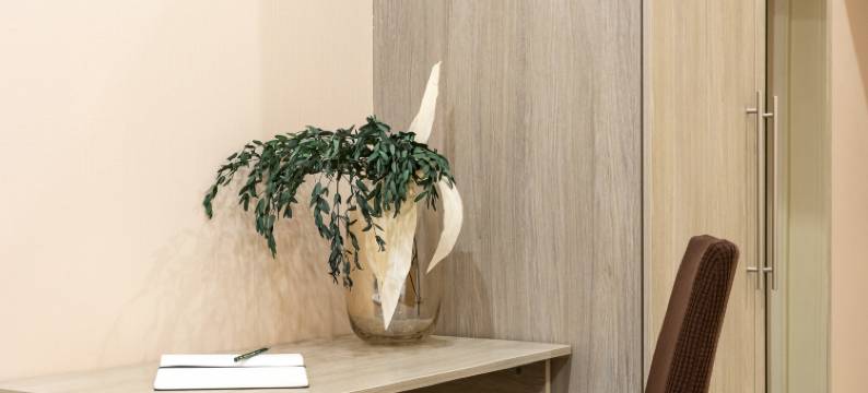 Pirogova街的客房(Nomera na Pirogova)图片