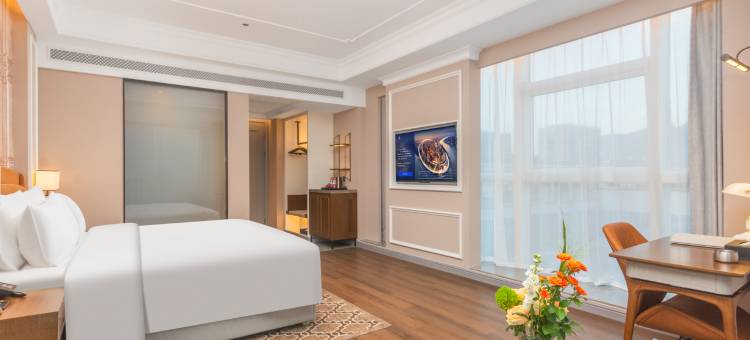 维也纳国际酒店(经典版台州九澄大厦旗舰店)图片