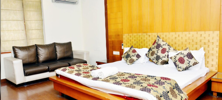 曼达基尼广场酒店(Hotel Mandakini Plaza , Kanpur)图片