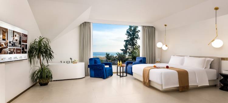 陌海·望海民宿(万尾金滩店)图片