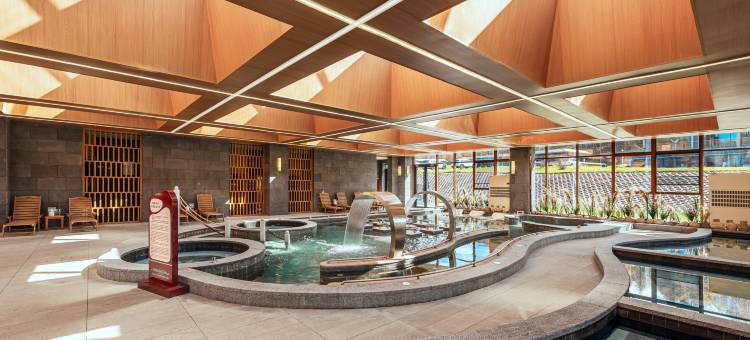 阿尔善金江沟国际维景度假温泉酒店图片