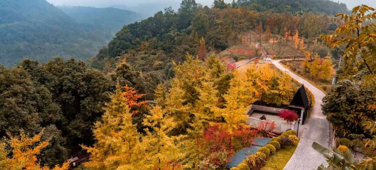 青城山素喜青山森林民宿图片