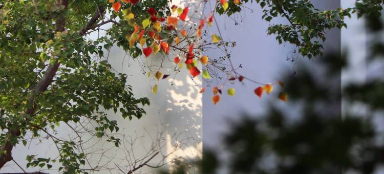 苏州金普顿竹辉酒店图片