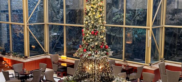 首尔江南大使诺富特酒店(Novotel Ambassador Seoul Gangnam)图片