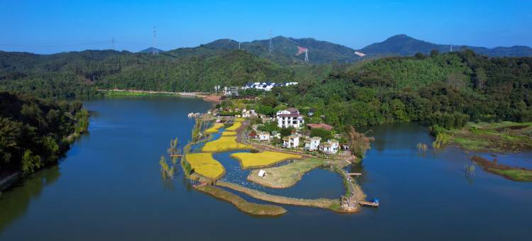 英德·野渡宿集·野渡谷民宿图片