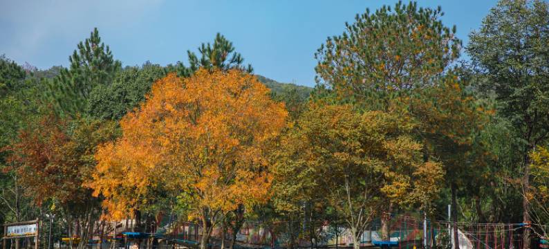 云水南野奢度假酒店图片