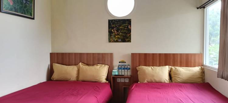 德皮波家庭旅馆(De'Pipo Homestay)图片