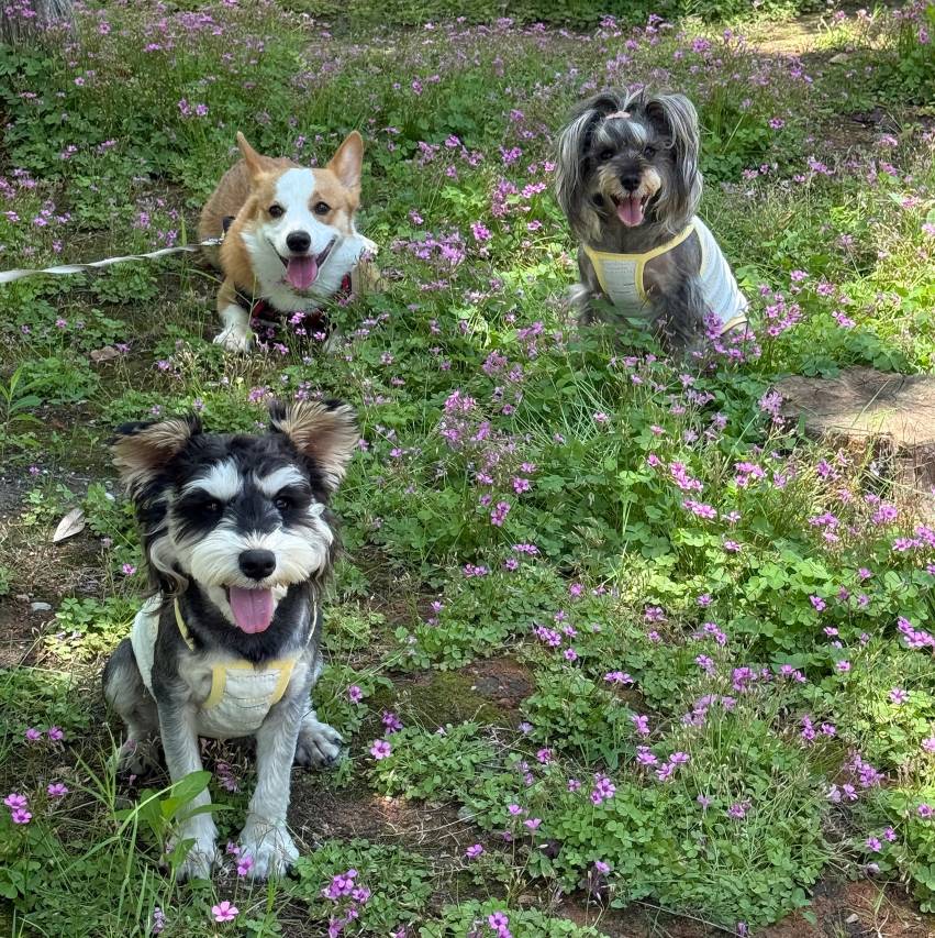 景德镇陶溪川景见礼酒店(三宝村店)图片