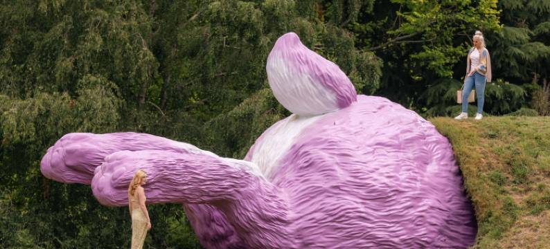 哈纳山林小屋(Hana Lodge)图片