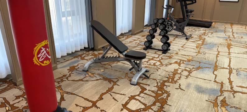 鄂尔多斯洲皇假日酒店(康巴什区政府店)图片