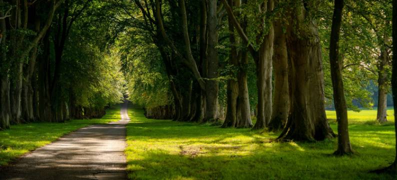 巴斯·拉克纳姆公园徽章精选(Lucknam Park, Emblems Collection)图片