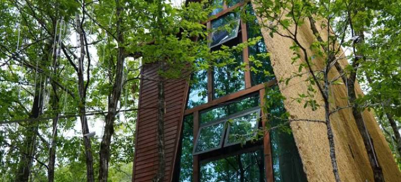 岚皋南山别院图片