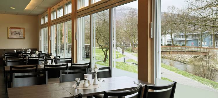 Fletcher Parkhotel Olsberg-Winterberg图片