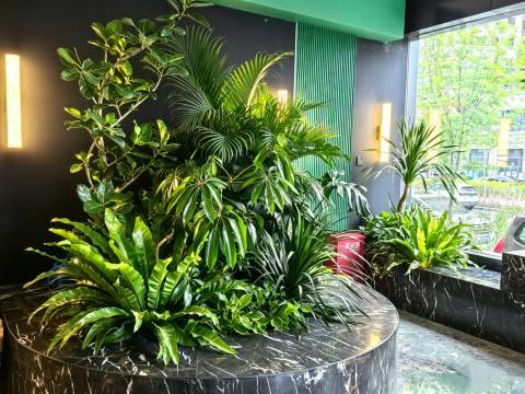 久居可·森系酒店(医学院店)图片