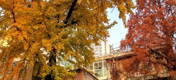 南京大学后勤服务集团有园宾馆图片