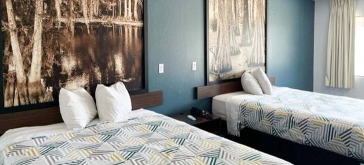 路易斯安那州奥佩卢萨斯 6 号开放式公寓套房酒店(Studio 6 Suites Opelousas, LA)图片