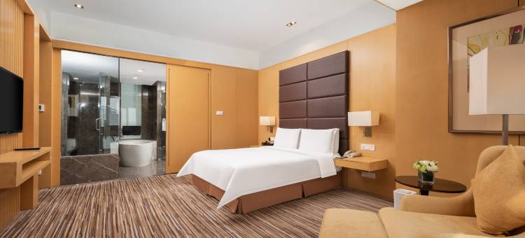 石家庄万象天成假日酒店图片