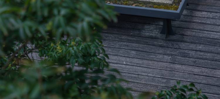 桐庐清境山庄·心动休闲农场图片