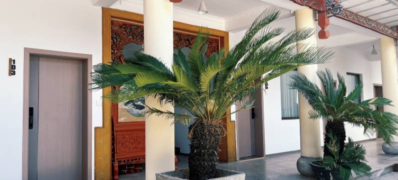 漫渡客栈(大理古城洱海门店)图片