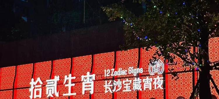 长沙机场 voco 酒店图片
